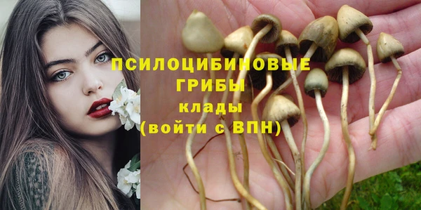 гашишное масло Горно-Алтайск