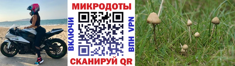 Галлюциногенные грибы GOLDEN TEACHER  Ивантеевка 